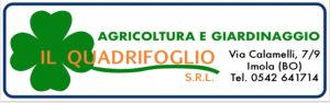 il-quadrifoglio-srl